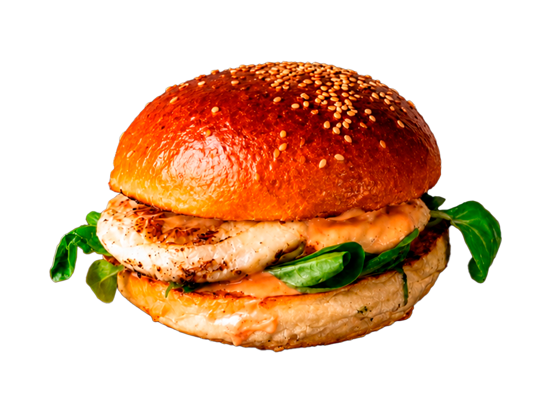 Vega Burger
